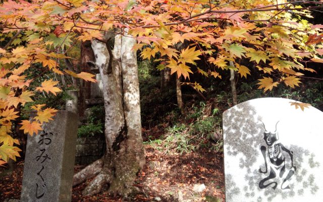 Mt. Hiei, the trail of prayer